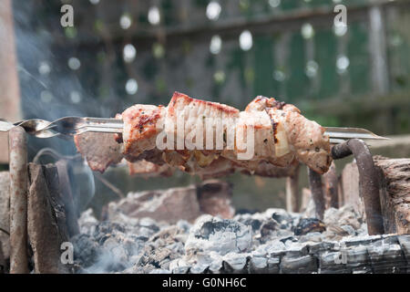 Healthy barbecued lean cubed pork kebabs Stock Photo