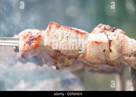 Healthy barbecued lean cubed pork kebabs Stock Photo