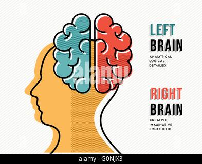 Concept design of human head silhouette with left and right brain hemispheres information in flat line art style. EPS10 vector. Stock Vector