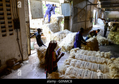 TANZANIA Tanga, Sisal industry, Tancord 1998 Ltd., processing of sisal fibres to yarn rope mat carpet / TANSANIA Tanga, Sisal Industrie, Tancord ein Unternehmen der Katani Gruppe  Verabeitung der Sisalfaser zu Garn, Seil, Matte, Teppich Stock Photo