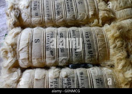 TANZANIA Tanga, Sisal industry, Tancord 1998 Ltd., processing of sisal fibres to yarn rope mat carpet / TANSANIA Tanga, Sisal Industrie, Tancord ein Unternehmen der Katani Gruppe  Verabeitung der Sisalfaser zu Garn, Seil, Matte, Teppich Stock Photo