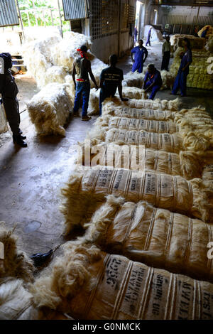 TANZANIA Tanga, Sisal industry, Tancord 1998 Ltd., processing of sisal fibres to yarn rope mat carpet / TANSANIA Tanga, Sisal Industrie, Tancord ein Unternehmen der Katani Gruppe  Verabeitung der Sisalfaser zu Garn, Seil, Matte, Teppich Stock Photo