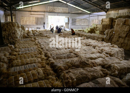 TANZANIA Tanga, Sisal industry, Tancord 1998 Ltd., processing of sisal fibres to yarn rope mat carpet / TANSANIA Tanga, Sisal Industrie, Tancord ein Unternehmen der Katani Gruppe  Verabeitung der Sisalfaser zu Garn, Seil, Matte, Teppich Stock Photo