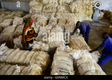 TANZANIA Tanga, Sisal industry, Tancord 1998 Ltd., processing of sisal fibres to yarn rope mat carpet / TANSANIA Tanga, Sisal Industrie, Tancord ein Unternehmen der Katani Gruppe  Verabeitung der Sisalfaser zu Garn, Seil, Matte, Teppich Stock Photo