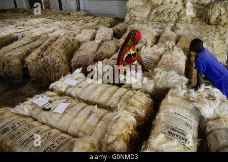 TANZANIA Tanga, Sisal industry, Tancord 1998 Ltd., processing of sisal fibres to yarn rope mat carpet / TANSANIA Tanga, Sisal Industrie, Tancord ein Unternehmen der Katani Gruppe  Verabeitung der Sisalfaser zu Garn, Seil, Matte, Teppich Stock Photo