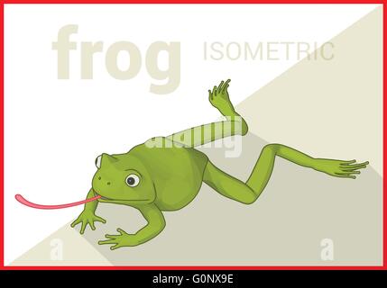 Frog isometric flat vector 3d Stock Vector