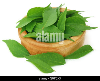 Curry leaves in a wooden bowl over white background Stock Photo