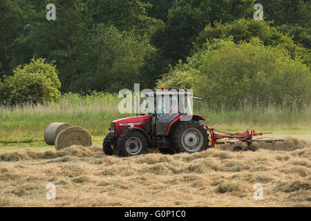 Silage making - passing round hay bales, a red farm tractor pulling a single-rotor rake works in a field at Great Ouseburn, North Yorkshire, England. Stock Photo