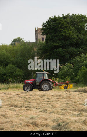 Silage making - Red farm tractor pulling a single-rotor rake working in a field at Great Ouseburn, North Yorkshire, England. Stock Photo