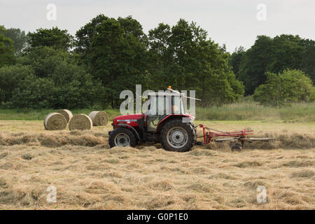 Silage making - with round bales beyond, a red farm tractor pulls a single-rotor rake working in a field at Great Ouseburn, North Yorkshire, England. Stock Photo