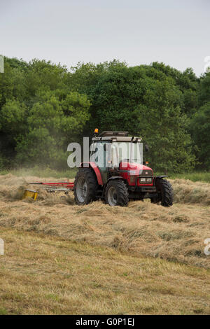 Silage making - Red farm tractor pulling a single-rotor rake working in a field at Great Ouseburn, North Yorkshire, England. Stock Photo