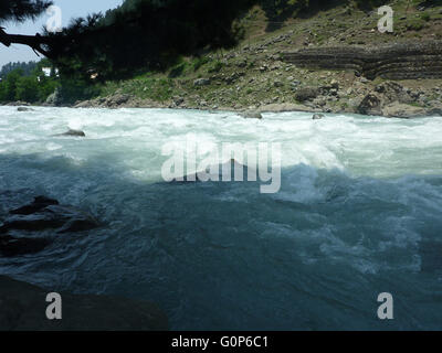 Lidder river, Pahalgam, Kashmir, originating from  Kolhoi Glacier, passing through Lidderwat meadow, crossing Pahalgam Stock Photo