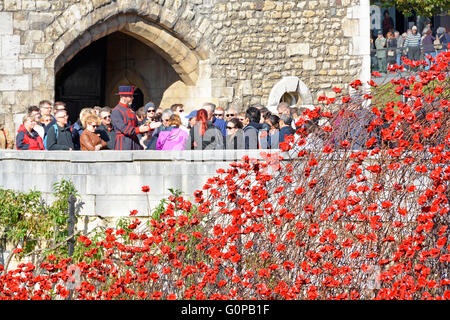 Cascading field of ceramic poppies 'Blood swept lands & seas of red' World War 1 tribute Tower of London with yeoman warder tour for group of tourists Stock Photo