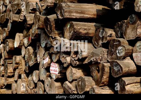 Yangon, Myanmar. 3rd May, 2016. Photo taken on May 3, 2016 shows a pile of logs in Yangon, Myanmar. Myanmar will stop teak wood production and reduce logging of hardwood this year due to severe deforestation, official media reported. The number of teak trees in Myanmar has gradually declined due to illegal logging. The rate of forest coverage in Myanmar has decreased to 45 percent in 2015 from over 57 percent in 1990, according to the Ministry of Natural Resources and Environmental Conservation. © Xinhua/Alamy Live News Stock Photo
