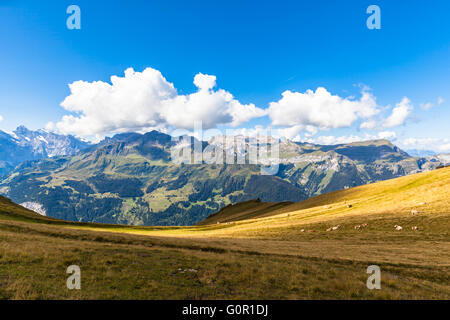 Panorama view of the Alps on Bernese Oberland and the Lauterbrunnen valley from Mannlichen station, Switzerland. Stock Photo