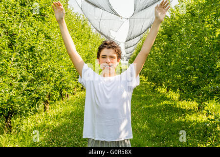 teenager next to rows of apple trees raises his arms under hail net Stock Photo