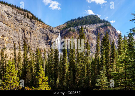 Takakkaw Falls in Yoho National Park in the Rocky Mountains. Plunging from above at a height of 380m (1246 ft ) Stock Photo