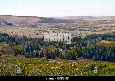 View of Paul da Serra, Madeira, Portugal Stock Photo