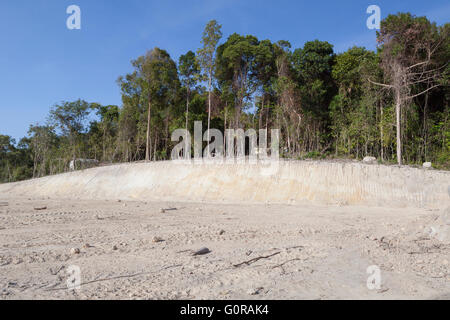 Tropical rainforest destroyed to make space for holiday resorts, Ko Lipe, Thailand Stock Photo
