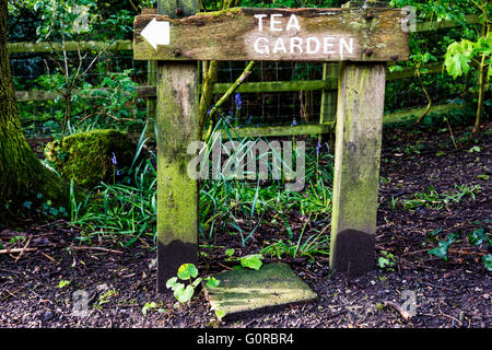 Eastham Country Park is situated on the Wirral bank of the River Mersey and provides superb views across the estuary with its abundant birdlife. Stock Photo