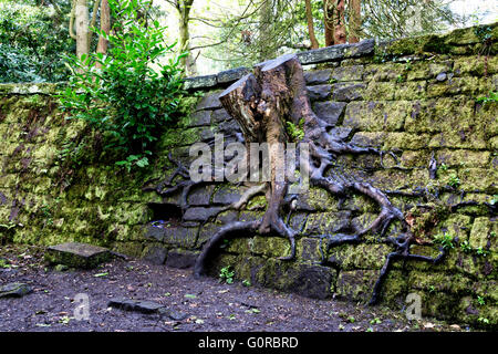 Eastham Country Park is situated on the Wirral bank of the River Mersey and provides superb views across the estuary with its abundant birdlife. Stock Photo