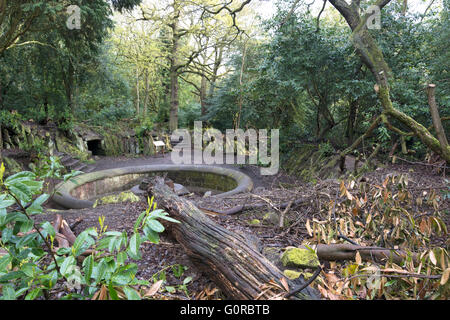 Eastham Country Park is situated on the Wirral bank of the River Mersey and provides superb views across the estuary with its abundant birdlife. Stock Photo