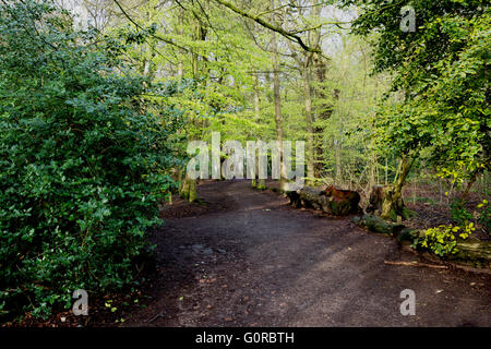 Eastham Country Park is situated on the Wirral bank of the River Mersey and provides superb views across the estuary with its abundant birdlife. Stock Photo