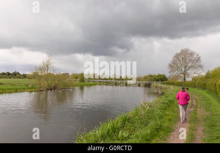 Between Alrewas and here at Wychnor, the River Trent forms part of the Trent and Mersey Canal, Staffordshire, England, UK Stock Photo