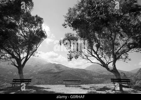 Amari valley in Crete with trees and benches. Greece. Black and white Stock Photo