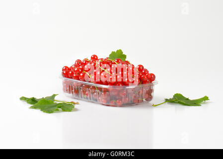 Fresh red currant berries in plastic container Stock Photo