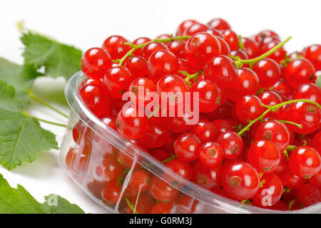 Fresh red currant berries in plastic container Stock Photo