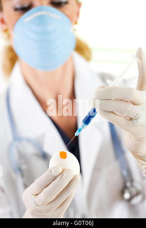 Female researcher/doctor inoculating flu virus into chicken eggs. Stock Photo