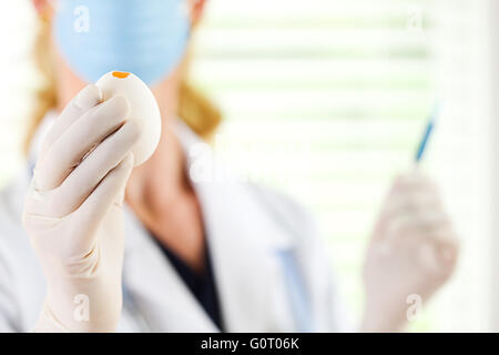 Female researcher/doctor inoculating flu virus into chicken eggs. Stock Photo