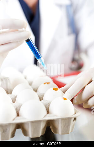 Female researcher/doctor inoculating flu virus into chicken eggs. Stock Photo