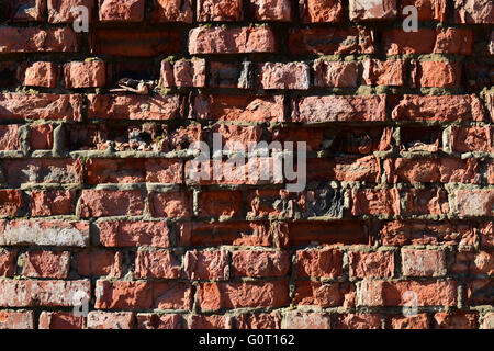 Destroyed by time and precipitation brick wall. Stock Photo