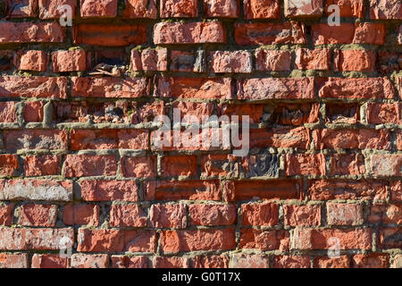 Destroyed by time and precipitation brick wall. Stock Photo