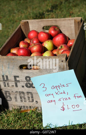 Apples for sale, USA Stock Photo