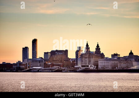 from West Float Merseyside Liverpool docks birkenhead   liverpool skyline with the Liver Building fronts over the River Mersey c Stock Photo