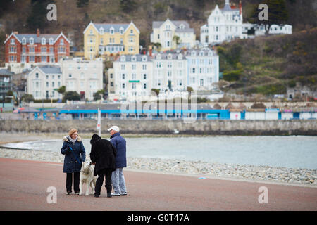 Llandudno is a seaside resort, town and community in Conwy County Borough, Wales, located on the Creuddyn peninsula, which protr Stock Photo