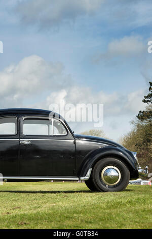 1954 Vintage VW Beetle car parked outside Standford Hall. Leicestershire, England Stock Photo
