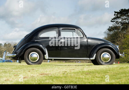 1954  Vintage VW Beetle car parked outside Standford Hall. Leicestershire, England Stock Photo