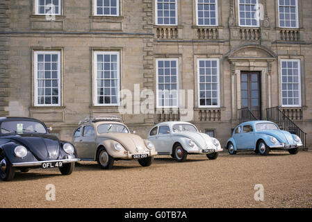 Vintage VW Beetle cars parked outside Standford Hall. Leicestershire, England Stock Photo