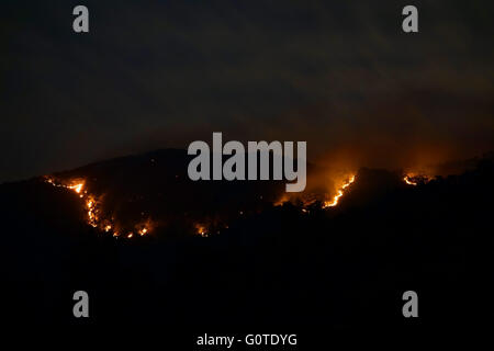 Huge bush fire Stock Photo