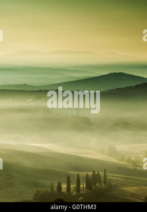 Mist at Podere Belvedere in Val d'Orcia by sunrise, Tuscany, Italy.