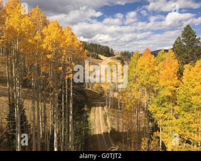 Ski slope in autumn, Vail, Colorado, America, USA Stock Photo