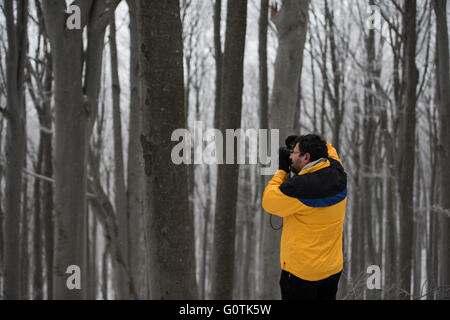 Man photographing trees in forest, Stara Zagora, Bulgaria Stock Photo