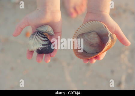 Girl holding seashells in her hands on beach