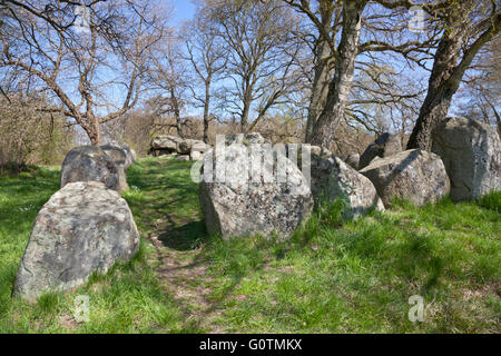 King's Dolmen, Kongedyssen, a long barrow from the Neolithic period 3,400 B.C. in Tokkekoeb Wood, North Zealand, Denmark, on a sunny spring day. Stock Photo