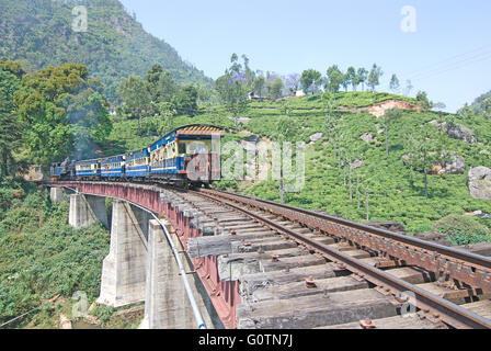 Nilgiri Mountain Railway, moving through a tea estate, Nilgiris, Tamil Nadu, India Stock Photo