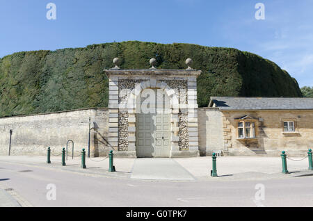 Large yew hedge behind the wall of the entrance to the Bathurst Estate Office in Cirencester Stock Photo